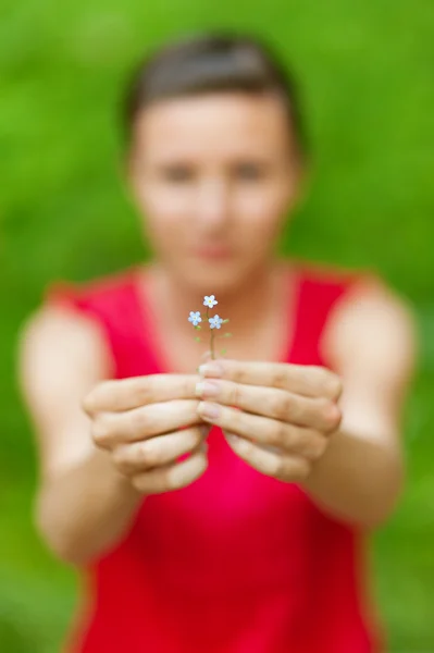 Girl stretches flower — Stock Photo, Image