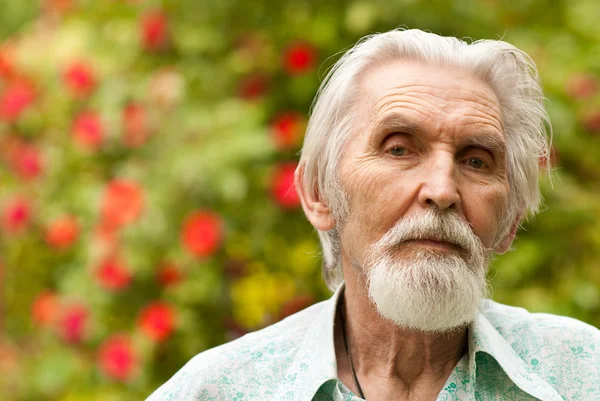 Idős férfi portréja — Stock Fotó