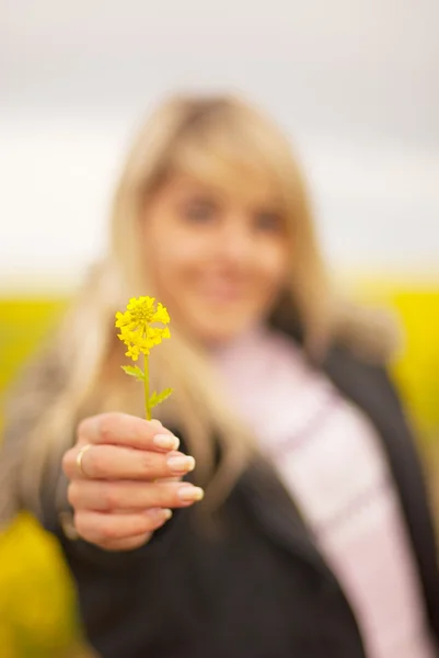 Menina estende flor amarela — Fotografia de Stock