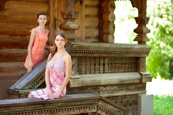 Fából készült fal közelében két gyönyörű lány — Stock Fotó