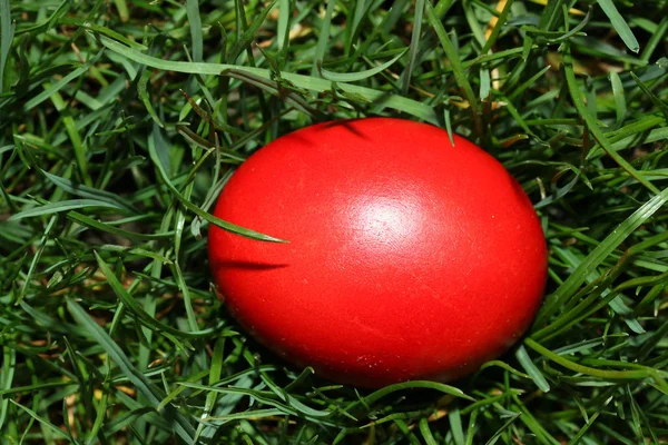 Czerwony wielkanocnego jajka — Zdjęcie stockowe