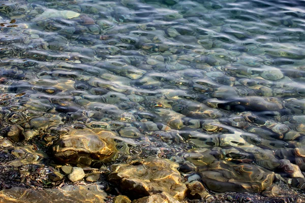 stock image Sea surface