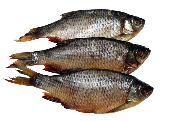 Syrové ryby, samostatný — Stock fotografie