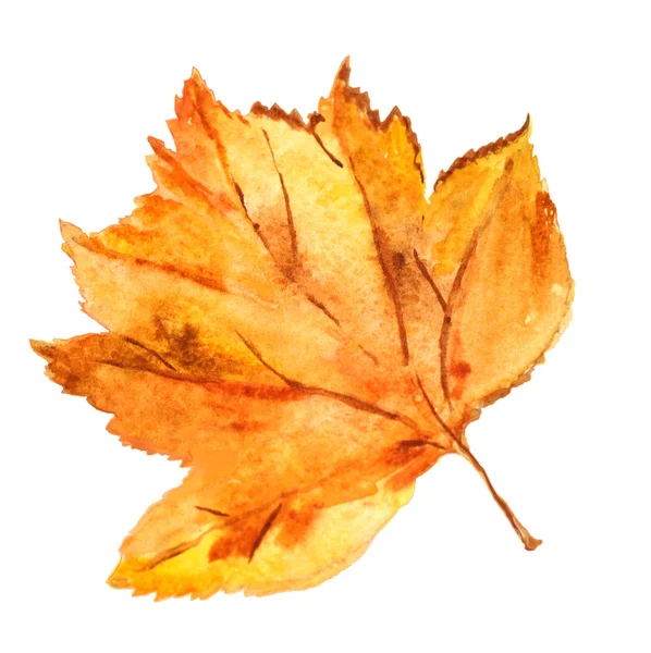 Beautiful water color autumn leaf — Stock Photo, Image
