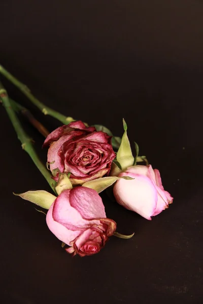 Verschoten roze bloemen Stockfoto