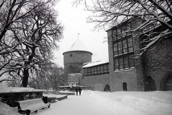 Schneefall in Tallinn — Stockfoto