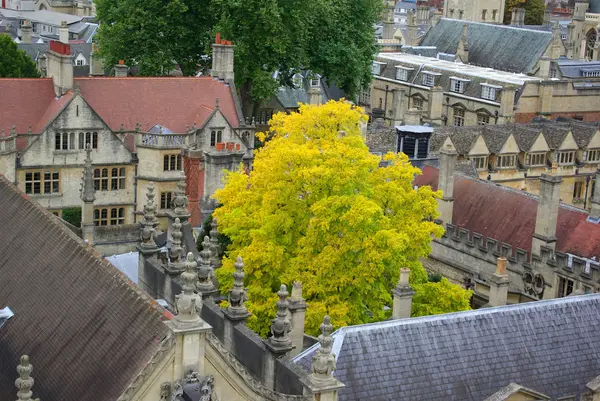 牛津大学的屋顶 — 图库照片