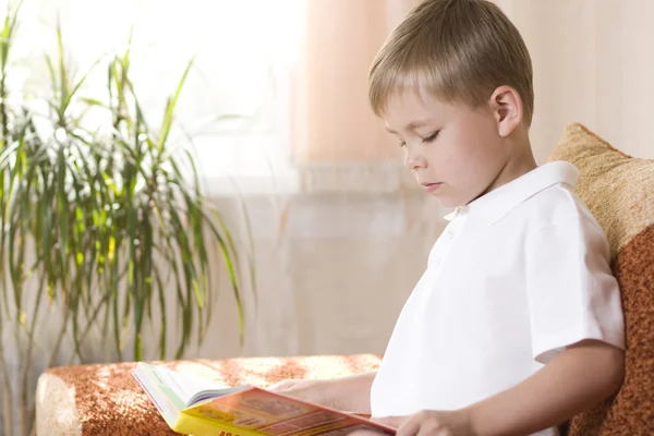 Boy Reading A Book — Stock Photo, Image