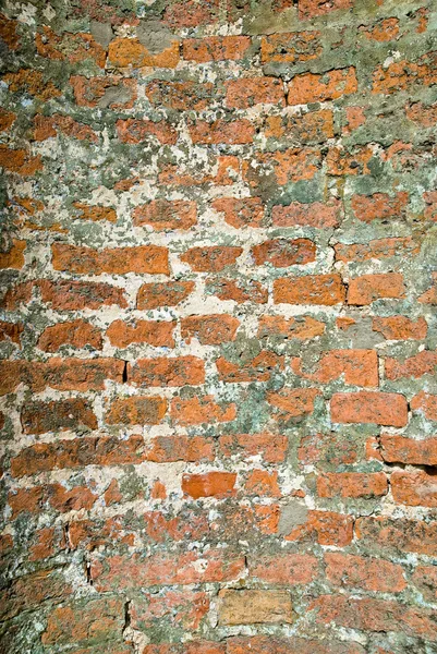 Stock image Red brick wall