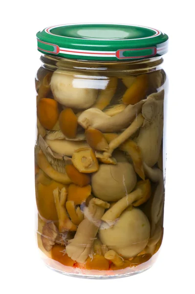 Pot with mushrooms — Stock Photo, Image