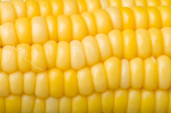 Kukorica makró — Stock Fotó