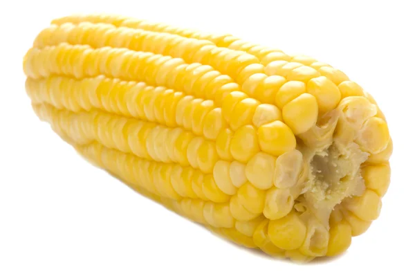 玉米上的白色 — 图库照片