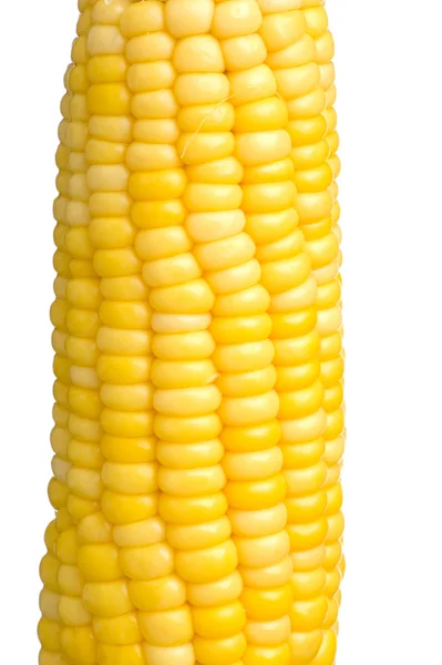 Кукурудза — стокове фото