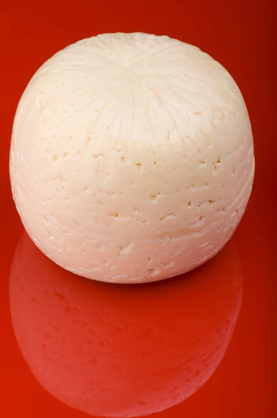 Cheese on red — Stock Photo, Image