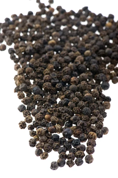 Black pepper on white — Stock Photo, Image