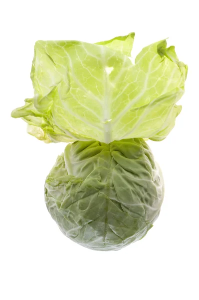 Cabbage close up — Stock Photo, Image
