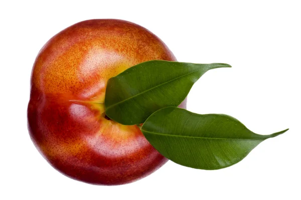 Персик макросу — стокове фото