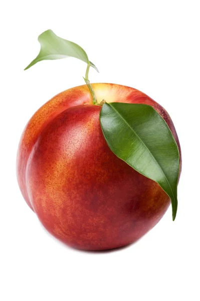 Персик на білому макросі — стокове фото