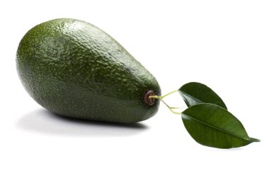 Avokado