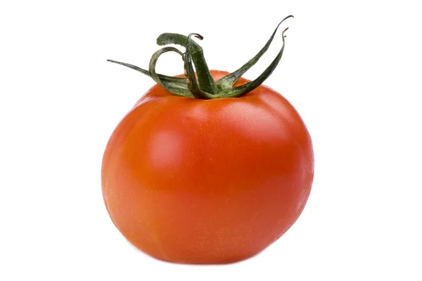 トマトをクローズ アップ — ストック写真