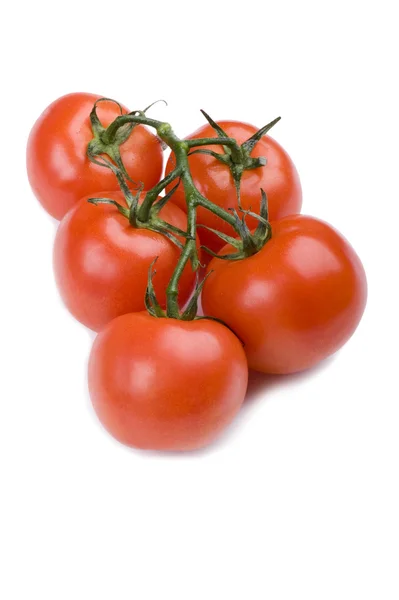 흰 바탕에 있는 토마토 — 스톡 사진