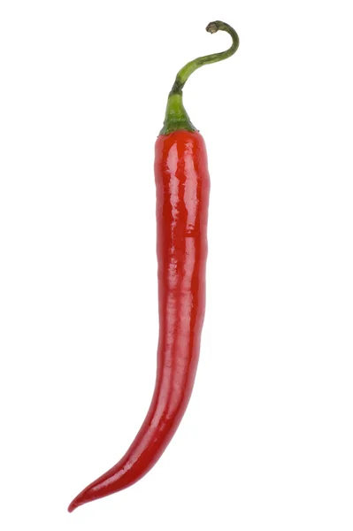 Röd paprika makro — Stockfoto