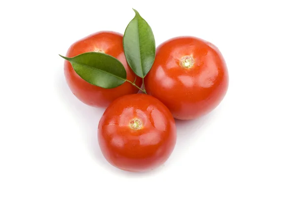 Červené rajče zblízka — Stock fotografie