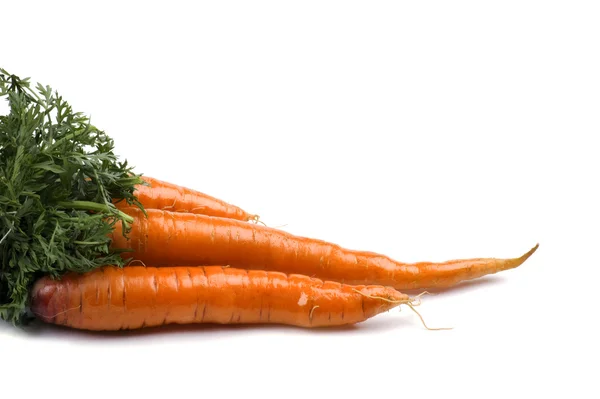 Морковь близко. — стоковое фото