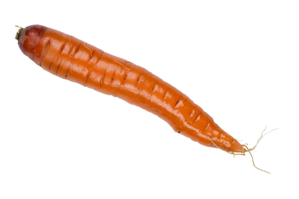 Морква макросу — стокове фото