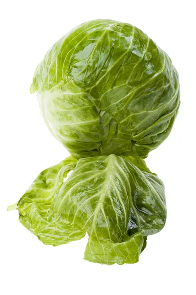 Cabbage on white — Stock Photo, Image