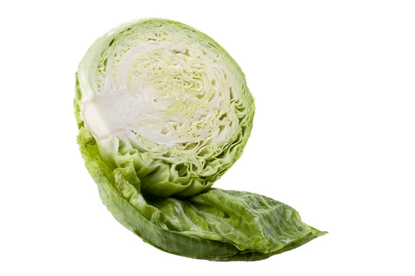 Cabbage on white background — Stock Photo, Image