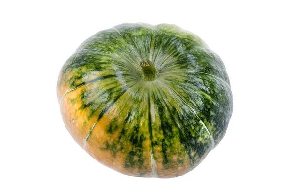 Pumpkin on white — Stock Photo, Image