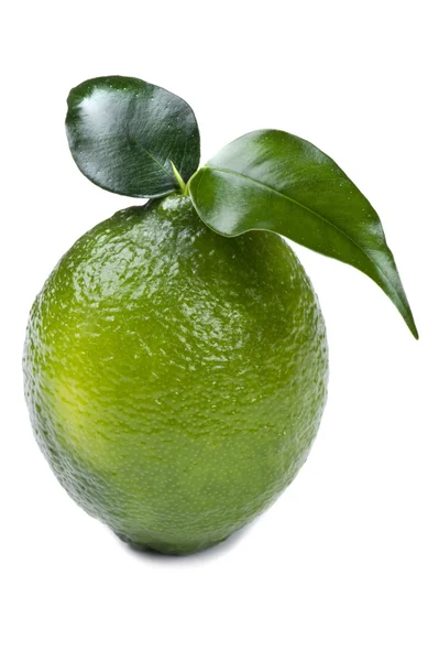 Lime makro på vit — Stockfoto