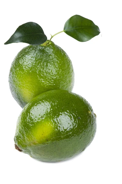 Lime på vit närbild — Stockfoto