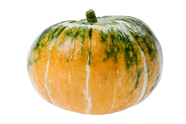 Pumpkin macro — Stock Photo, Image