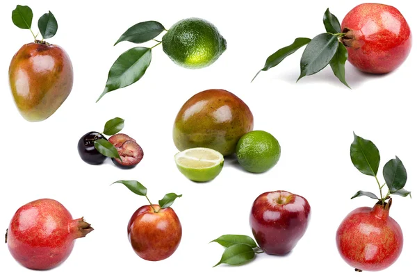 Färsk frukt på vit — Stockfoto