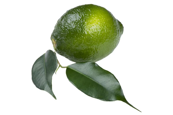 Zöld lime — Stock Fotó