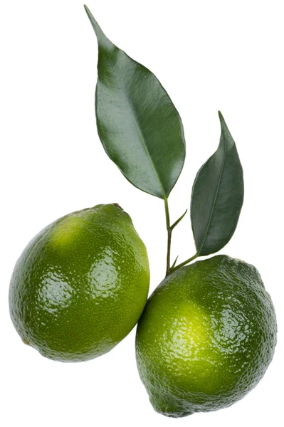 Grön lime på vit — Stockfoto