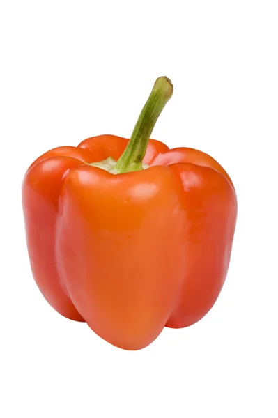 Χρωματιστά πιπέρι μακροεντολή — Φωτογραφία Αρχείου