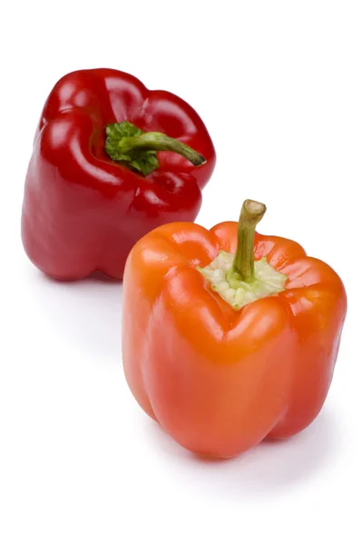 Gekleurde peper op witte achtergrond — Stockfoto