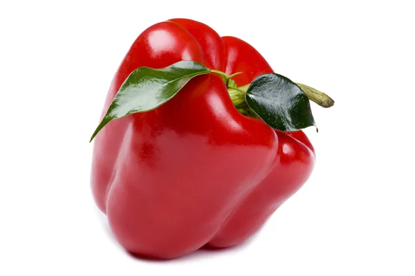 Colored pepper on white macro — Stock Photo, Image