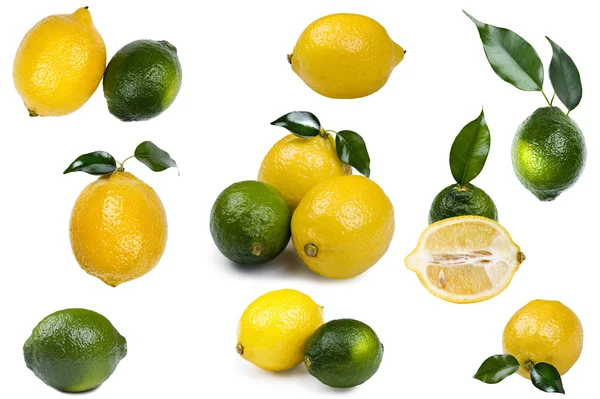 Fresh lime with lemon — Stock Photo, Image
