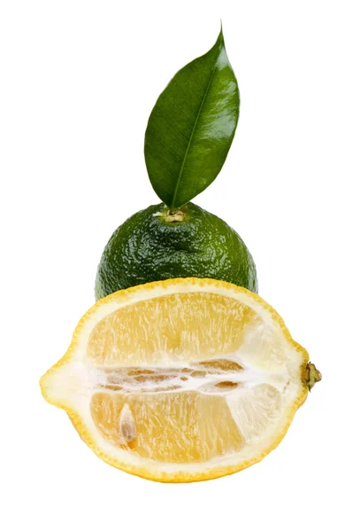 Lime with lemon — Stock Photo, Image