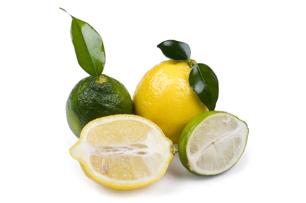 Lima con limón sobre blanco —  Fotos de Stock