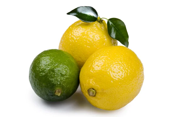 Лайм с лимоном на белом фоне — стоковое фото