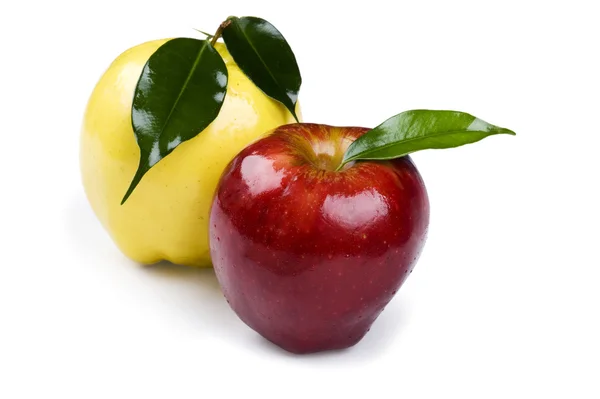 Barevný jablko — Stock fotografie
