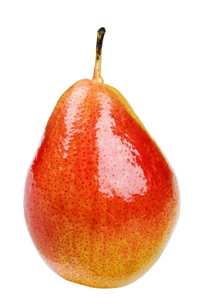 Colored pear — Stock Photo, Image