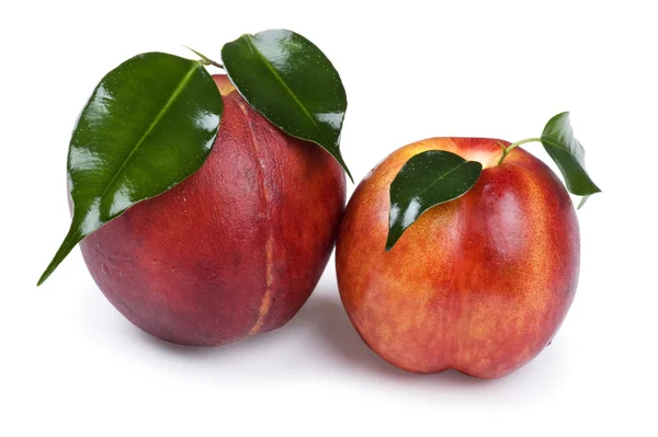 Персик і абрикос крупним планом — стокове фото