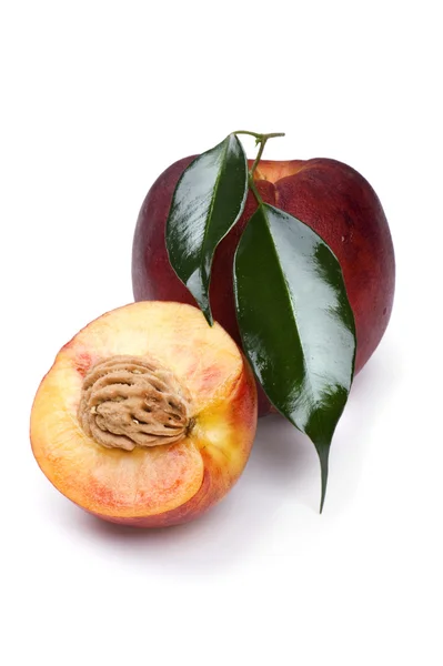 Peach and apricot on white — Stock Photo, Image