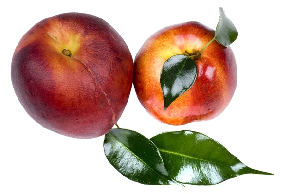Персик і абрикос на білому тлі — стокове фото